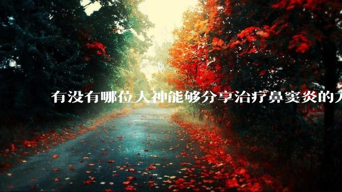 有没有哪位大神能够分享治疗鼻窦炎的方法？